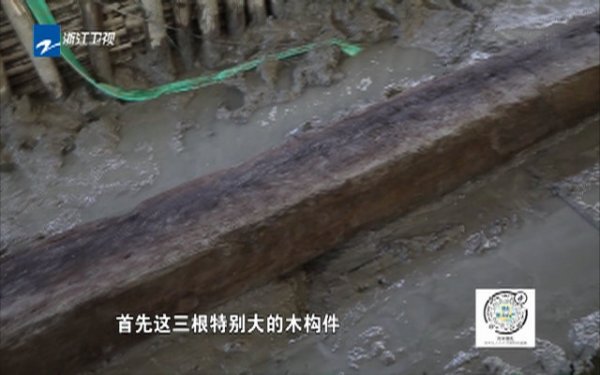浙江卫视《新闻深一度》穿越5000年 一根木头的猜想